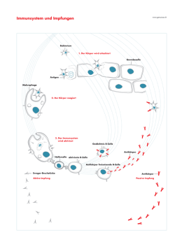 Immunsystem und Impfungen