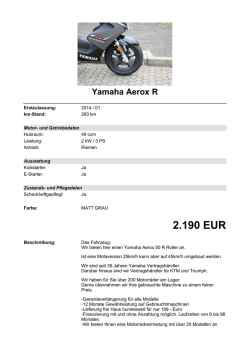 Detailansicht Yamaha Aerox R