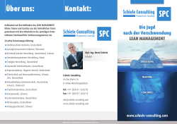 Schiele Consulting Flyer