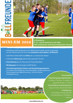 Einladung Mini-EM 2016 - jugendfussball
