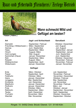 Haar-und Federwild Fleischerei/ Zerlege Betrieb