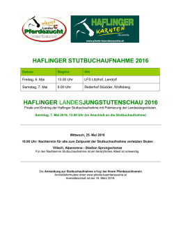 HAFLINGER STUTBUCHAUFNAHME 2016 HAFLINGER