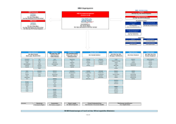 MBS Organigramm