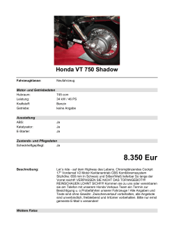 Detailansicht Honda VT 750 Shadow