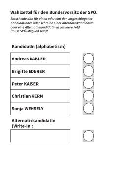 Wahlzettel A5 - Vorsitzwahl 2016