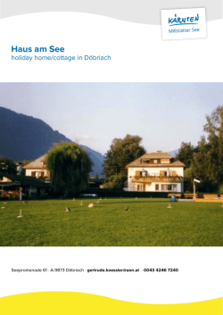 Haus am See in D&ouml;briach
