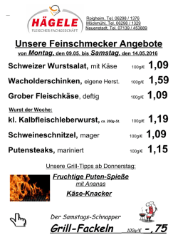 Grill-Fackeln 100g/&euro; -,75