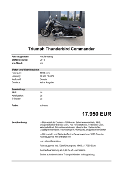Detailansicht Triumph Thunderbird Commander