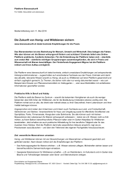 Die Zukunft von Honig- und Wildbienen sichern