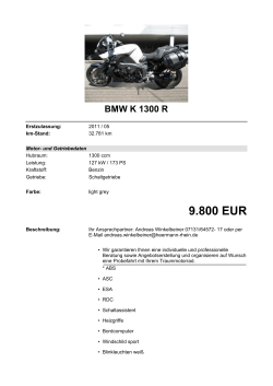 Detailansicht BMW K 1300 R