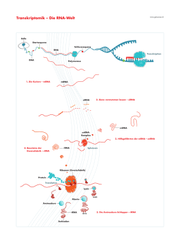 Transkriptomik q Die RNA‡Welt