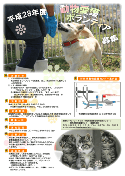 動物愛護ボランティア登録前説明会チラシ（pdfファイル：614KB）