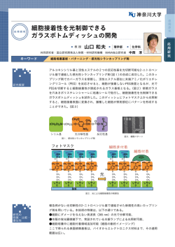 細胞接着性を光制御できる ガラスボトムディッシュの開発