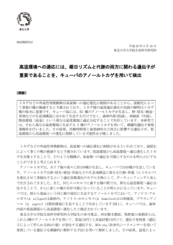 高温環境への適応には、概日リズムと代謝の両方に関わる遺伝子が