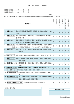 プチ・ザイタックス 調査表