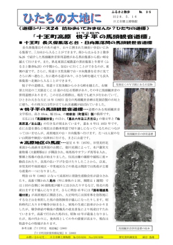 十王町高原 悦子 平 の馬頭観音道標