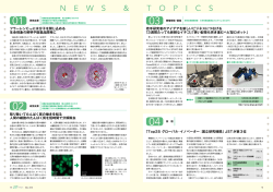NEWS & TOPICS