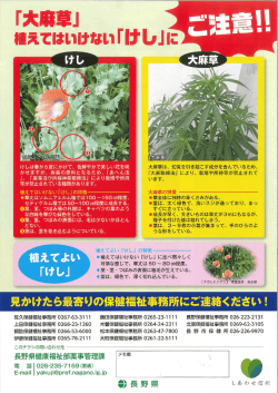 ポスター裏.