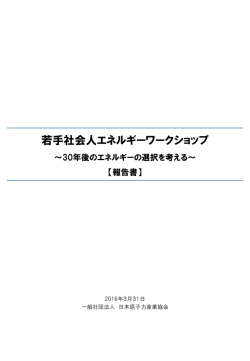 若手社会人エネルギーワークショップ - 一般社団法人 日本原子力産業協会