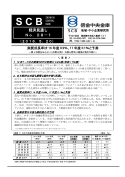 経済見通し No．28－1 - 信金中金 地域・中小企業研究所