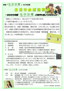280517 チラシ案