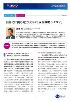 自由化に挑む電力大手の「成長戦略シナリオ」