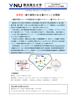 世界初！誤り耐性のある量子ビットを開発