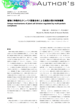 植物に特徴的なタンパク質複合体による細胞分裂の制御機構