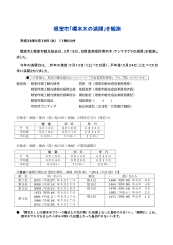 根室市「標本木の満開」を観測