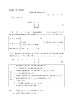 実績報告書(PDF:111KB)