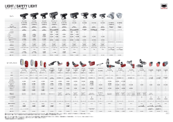 LIGHT / SAFETY LIGHT