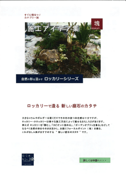 Page 1 すぐに役立つ｣ たカテゴリー別 ロッカリーで造る新しい庭石の