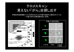 テロメスキャン 見えない「がん」を探し出す