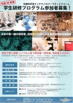 Page 1 "-イ^。 /> 燕28愛 文部科学省ナノテクノロジープラッ トフォーム