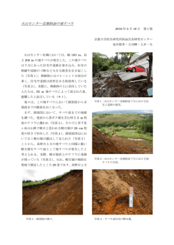 北側斜面 - 京都大学防災研究所 斜面災害研究センター