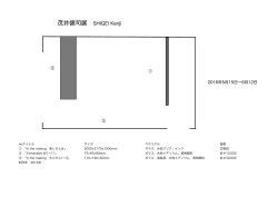 茂井健司展 SHIGEI Kenji