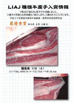 LIAJ種雄牛産子入賞情報（P黒482 福北光）
