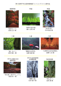 第4回神戸市立森林植物園フォトコンテスト入賞作品 「紅彩ロード」 武田