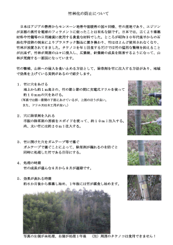 竹林化の防止について