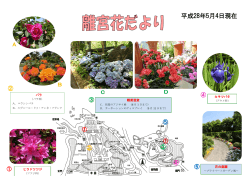 花の庭園 バラ カキツバタ 観賞温室 ヒラドツツジ