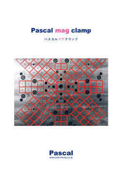 Pascal mag clamp