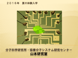 分子科学研究所・協奏分子システム研究センター 山本研究室
