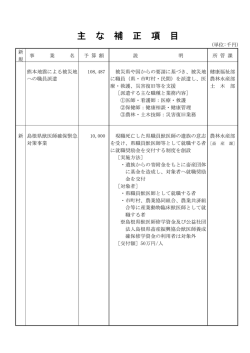 補正項目（pdf:69KB）
