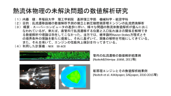 熱流体物理の未解決問題の数値解析研究