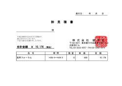 年額10176円