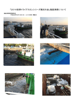 「2016世界トライアスロンシリーズ横浜大会」海面清掃について