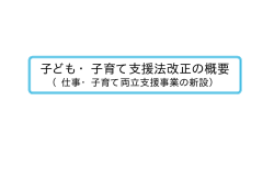 （仕事・子育て両立支援事業の新設）（PDF形式：288KB）