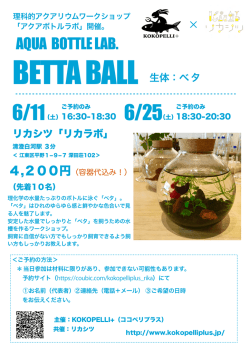 リーフレット「ベタ ボールラボ」