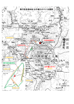 県行記念造林地（お手植えのマツ）位置図