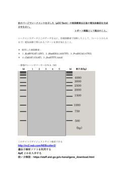 制限酵素処理